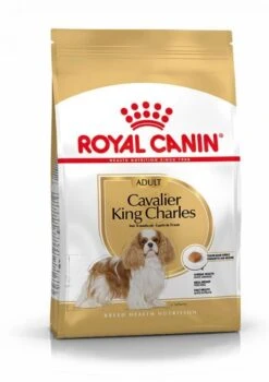 Royal Canin Cavalier King Charles Adult Pour Chien 7,5kg
