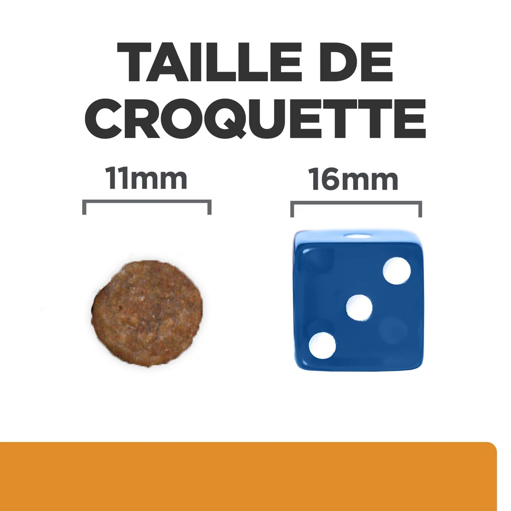 Hill's Prescription Diet K/D J/D Kidney + Mobility Croquettes Pour Chien Au Poulet - 4Kg – Image 4