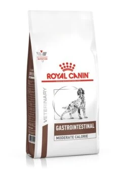 Royal Canin Gastro Intestinal Moderate Calorie Pour Chien 15kg