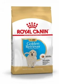 Royal Canin Golden Retriever Chiot Pour Chien 3kg