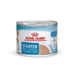 Royal Canin Starter Mousse 12x190g