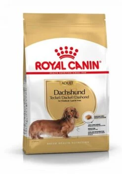 Royal Canin Teckel Adult Pour Chien 7,5kg