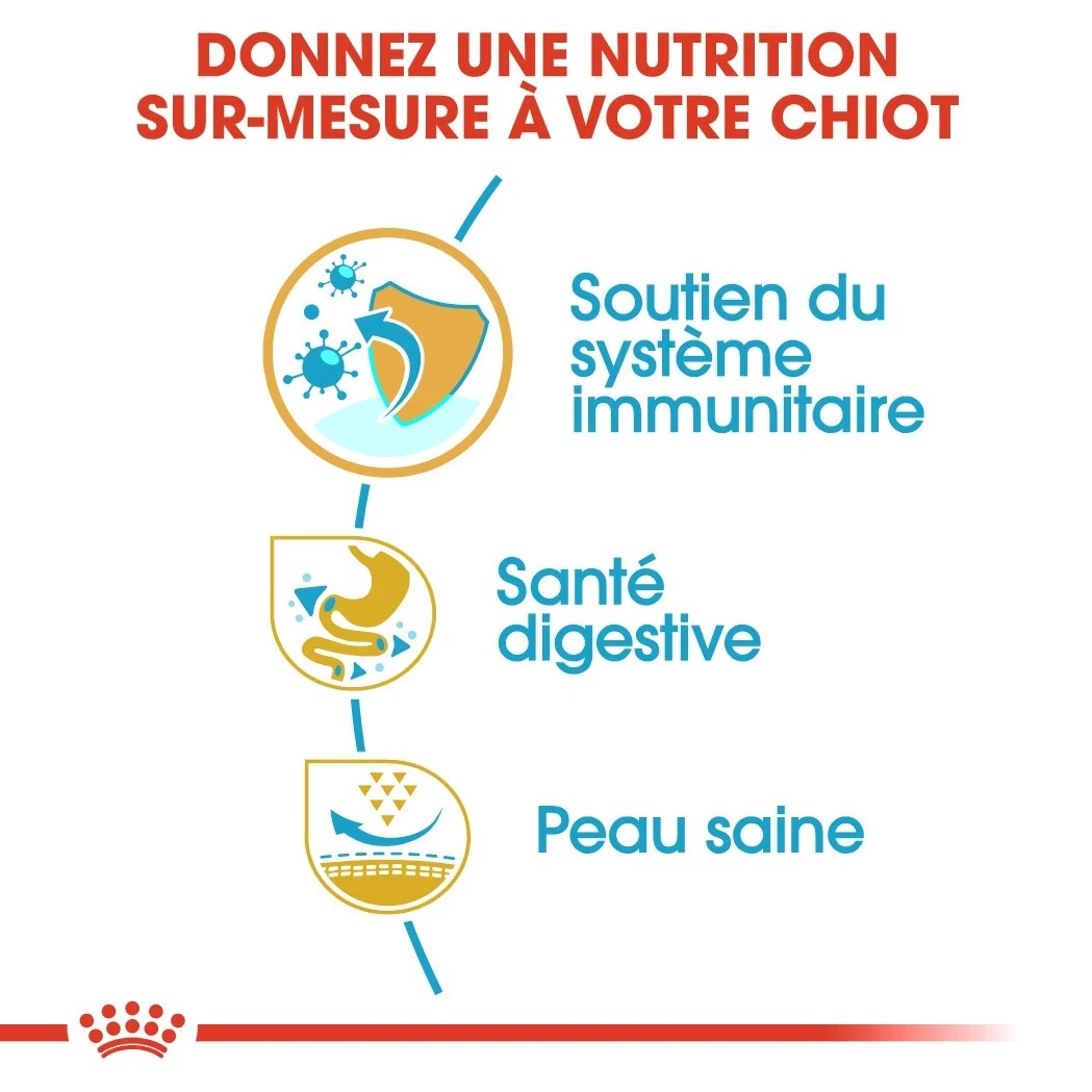 Royal Canin French Bulldog Chiot Pour Chien 10kg – Image 4