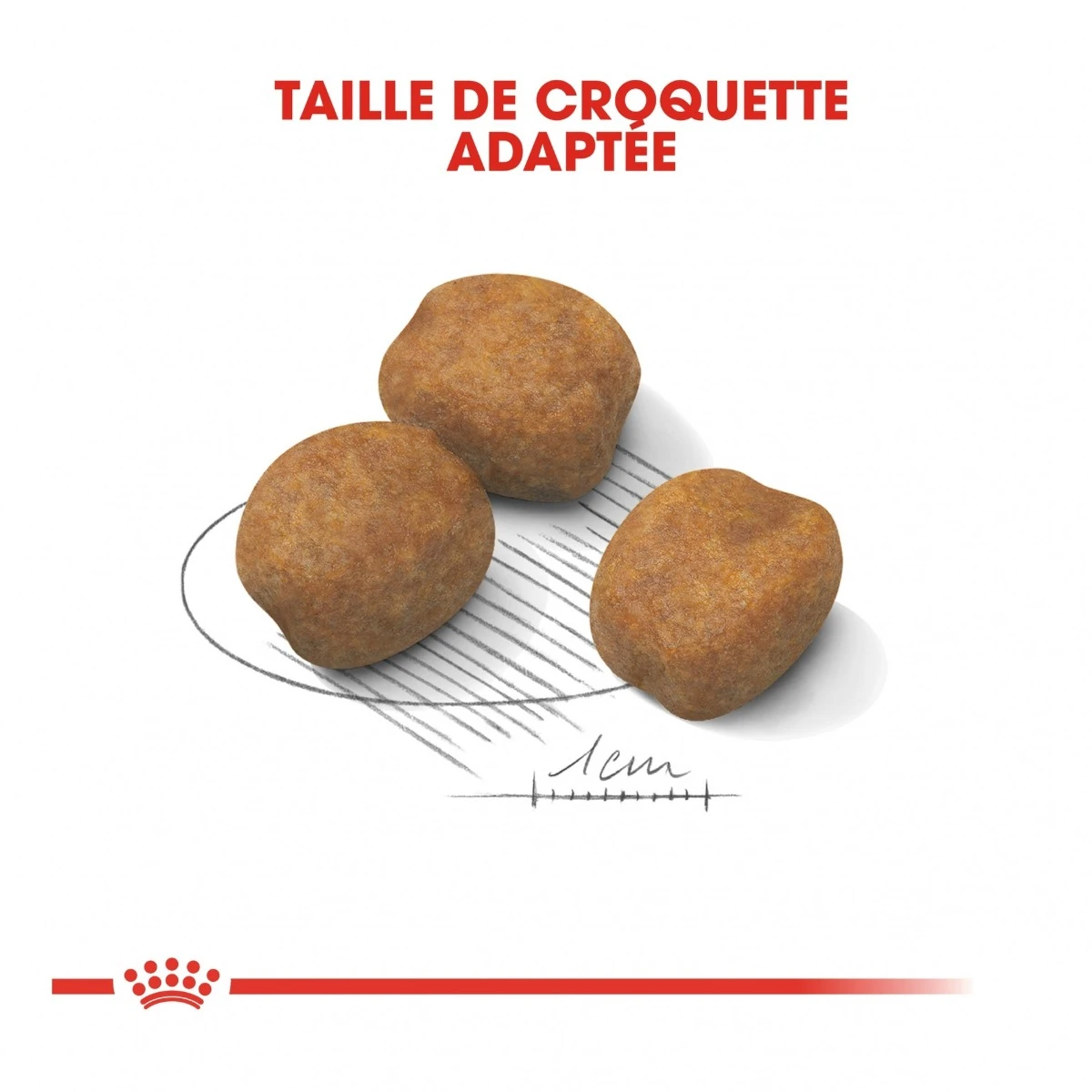 Royal Canin Giant Puppy Pour Chien 15kg – Image 5