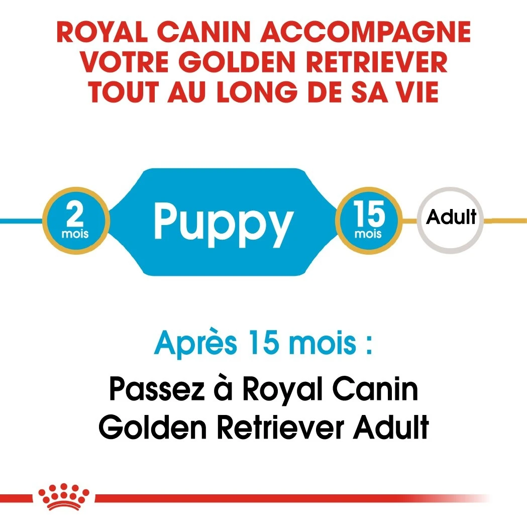 Royal Canin Golden Retriever Chiot Pour Chien 12kg – Image 5