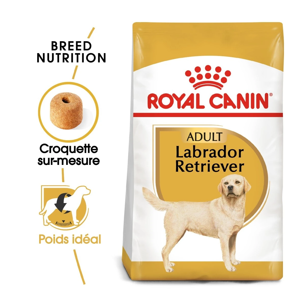Royal Canin Labrador Retriever Adult Pour Chien 12kg – Image 3