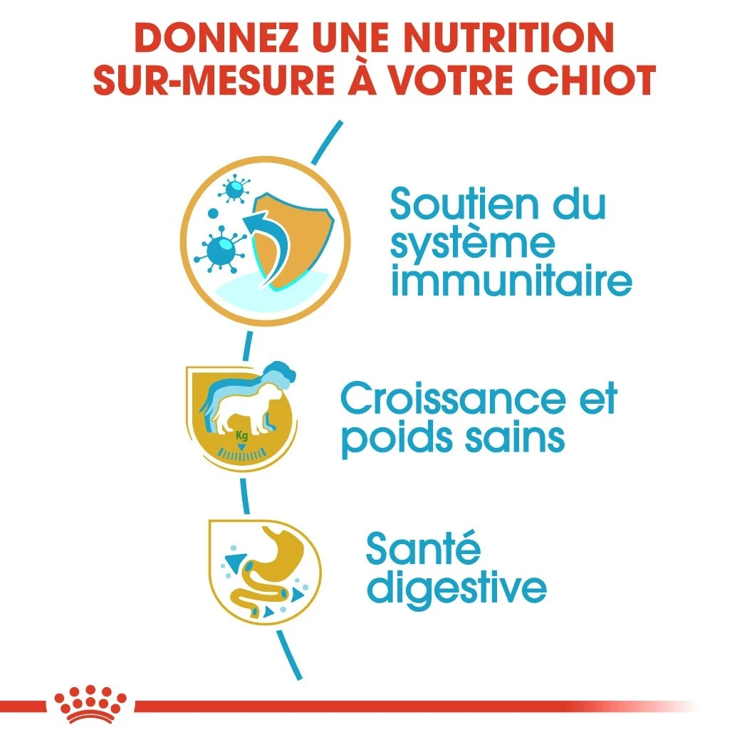 Royal Canin Labrador Retriever Chiot Pour Chien 12kg – Image 3