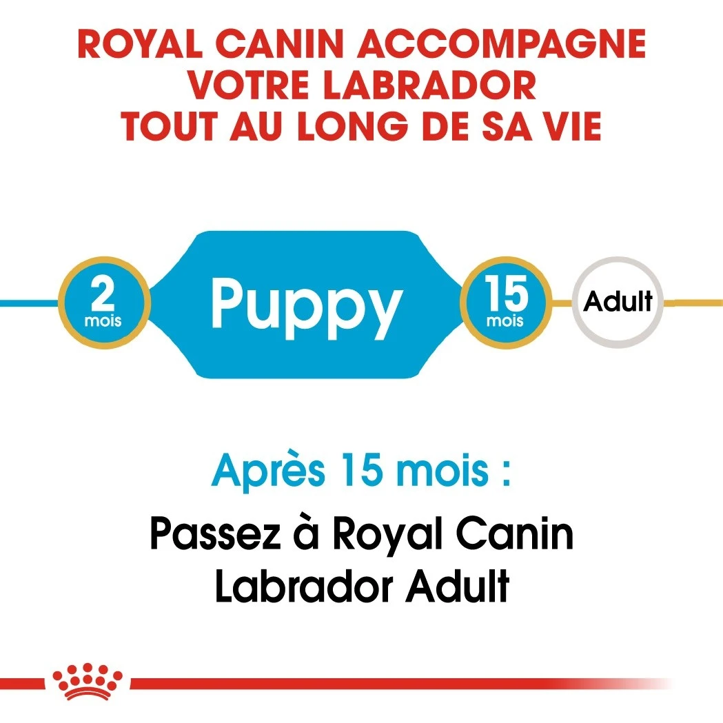 Royal Canin Labrador Retriever Chiot Pour Chien 12kg – Image 4
