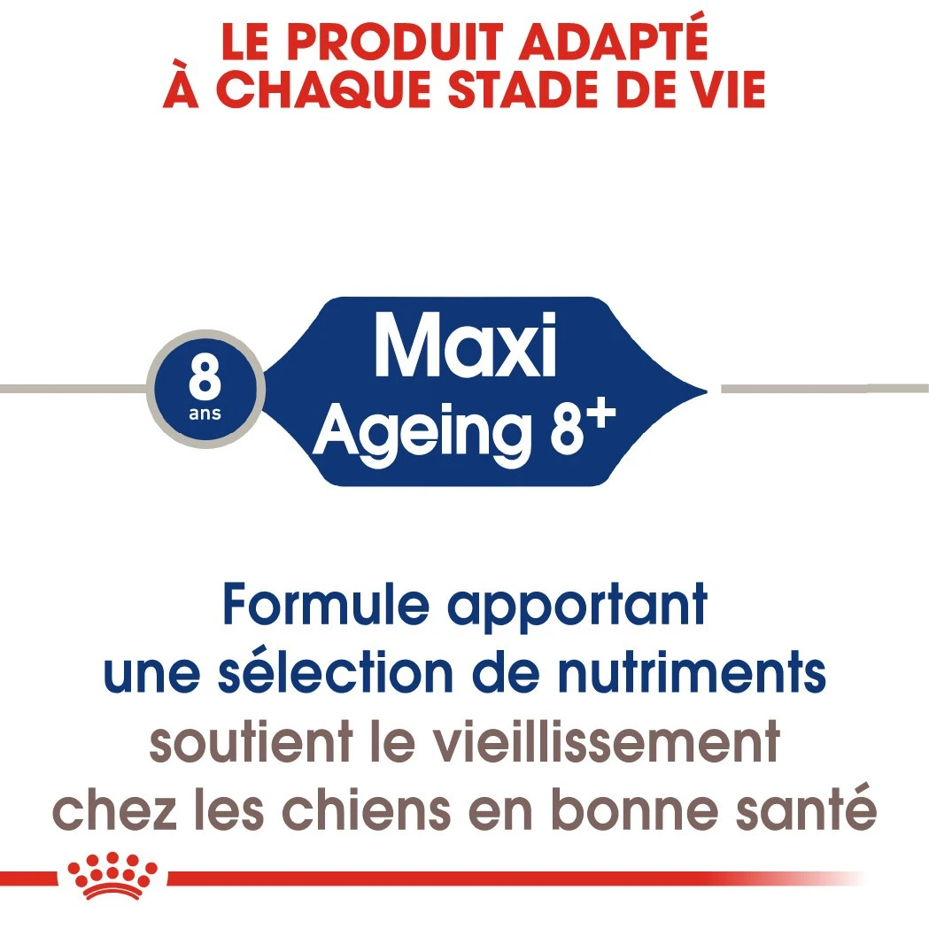 Royal Canin Maxi Ageing 8+ Pour Chien 15kg – Image 5